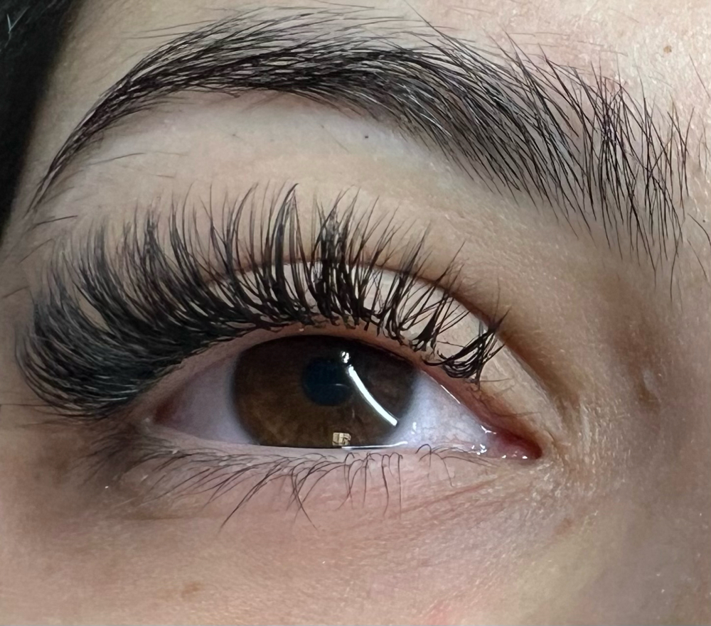 3 Week Hybrid Relash