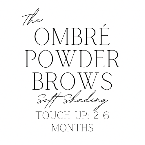 Ombré Brows Touch Up: 2-6 Mo