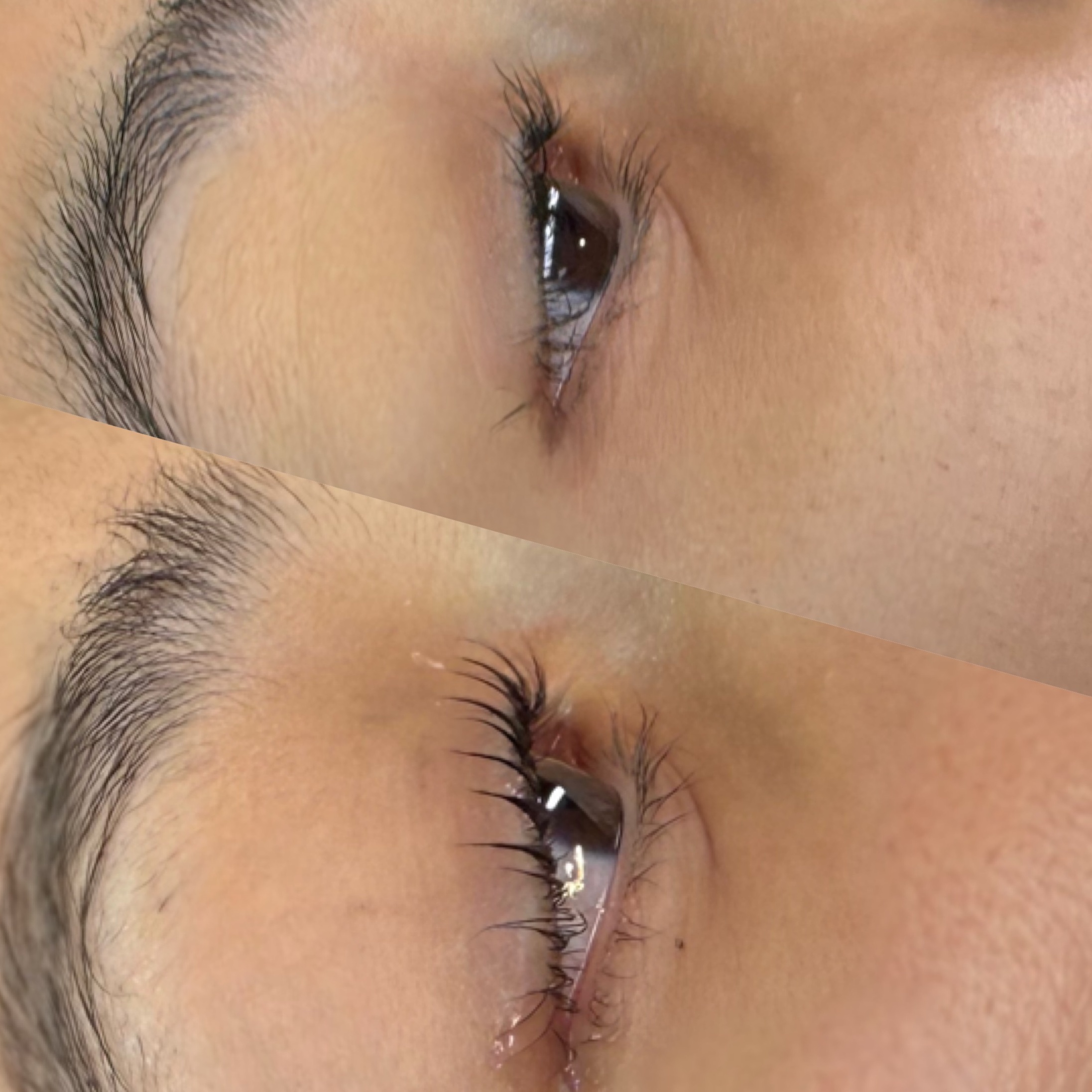 Korean Lash Lift