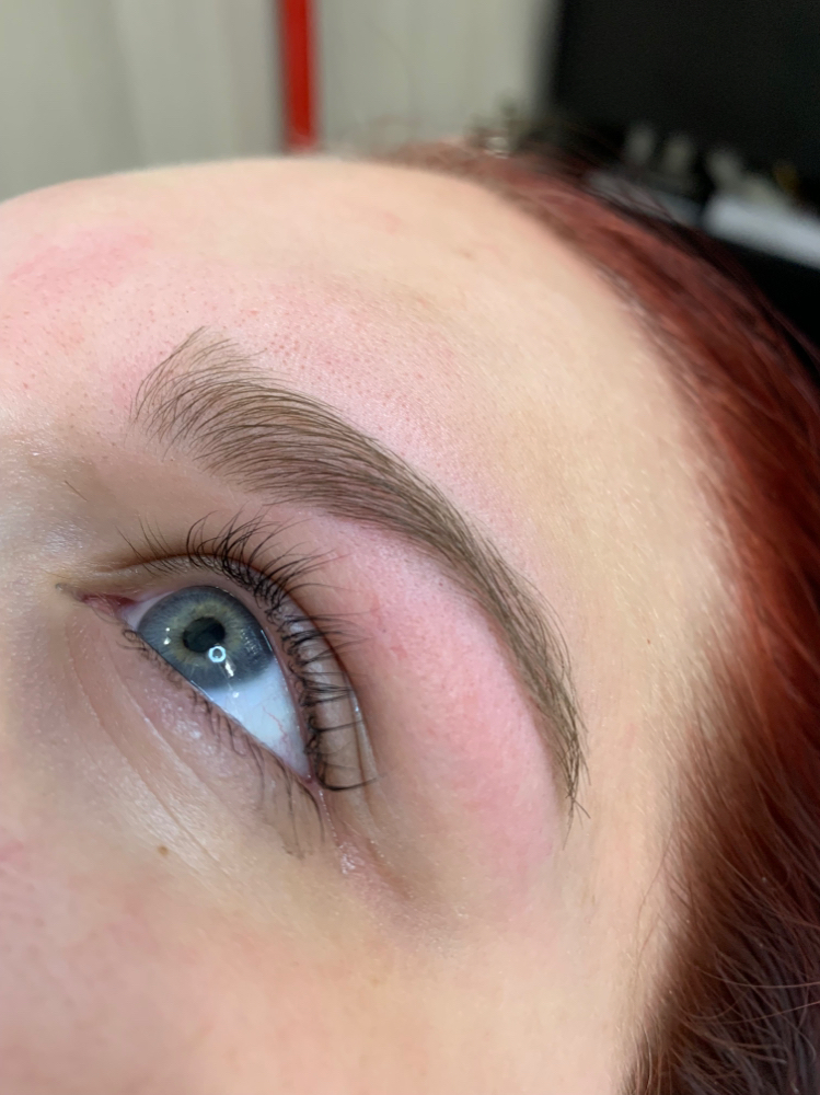 Eyebrow Wax & Tint