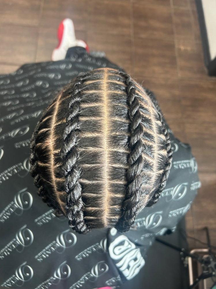 Twisted Braids