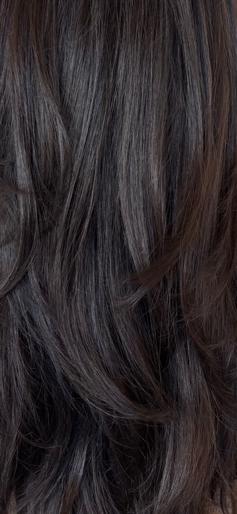 KA - Root Retouch/Cover Grey + Cut