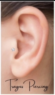 Tragus
