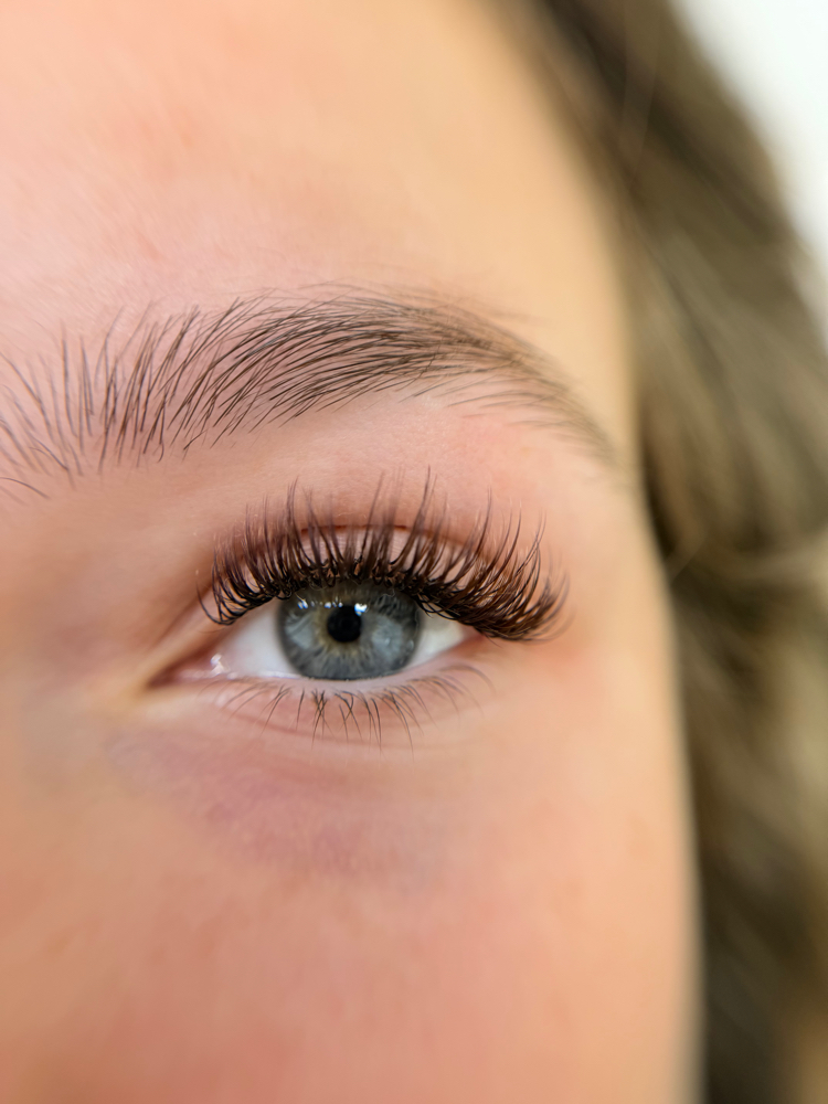 Specialty - Full Set