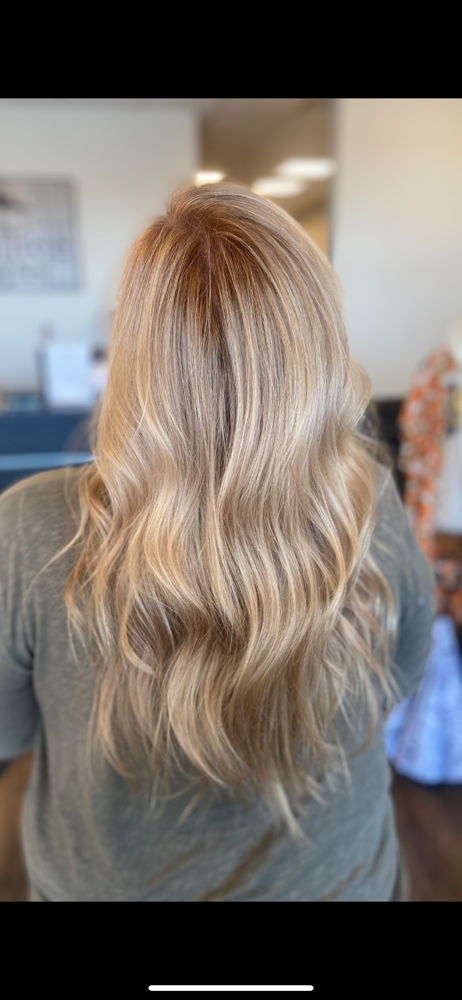 Root Touch Up
