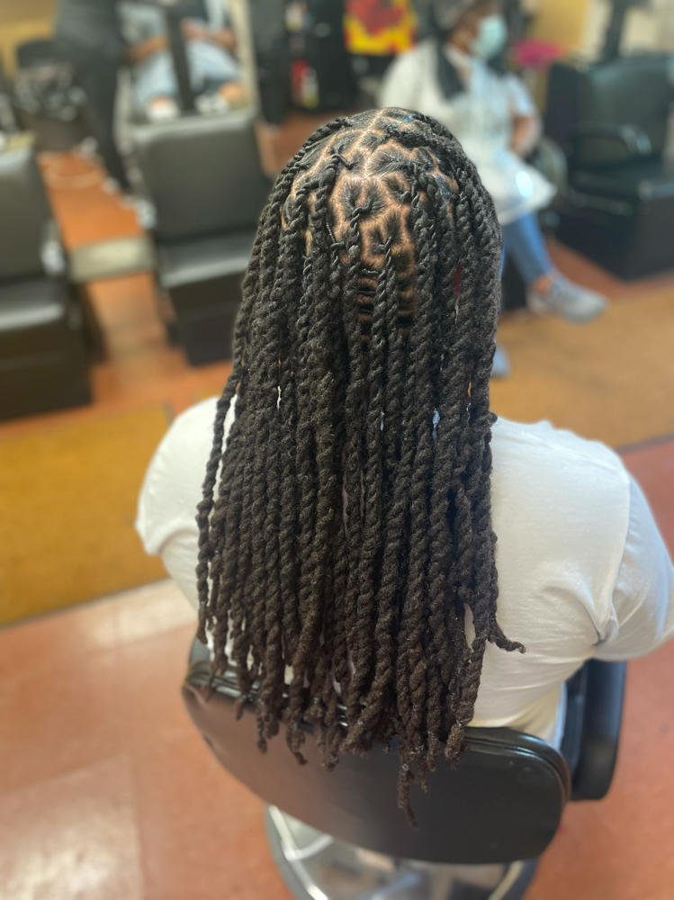 2strand Twist (longhair)