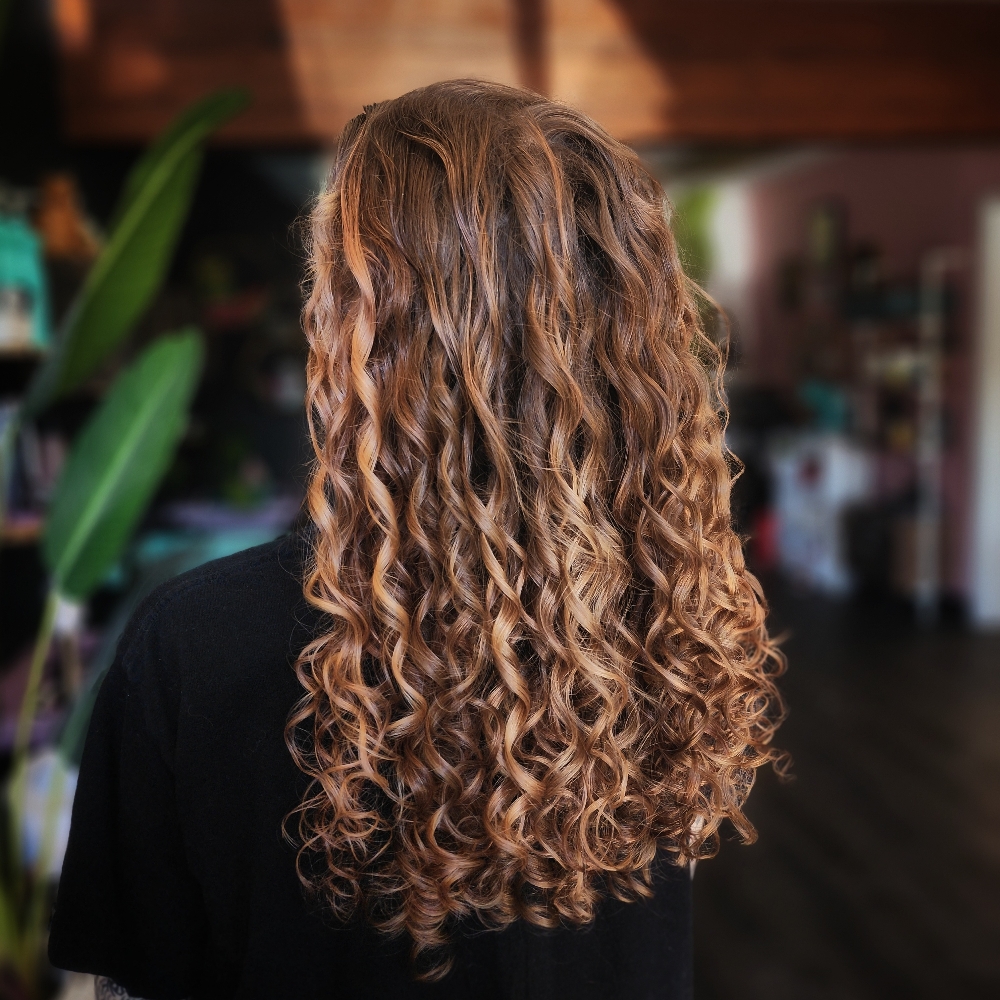 Lux Cut - EXISTING CLIENTS ONLY