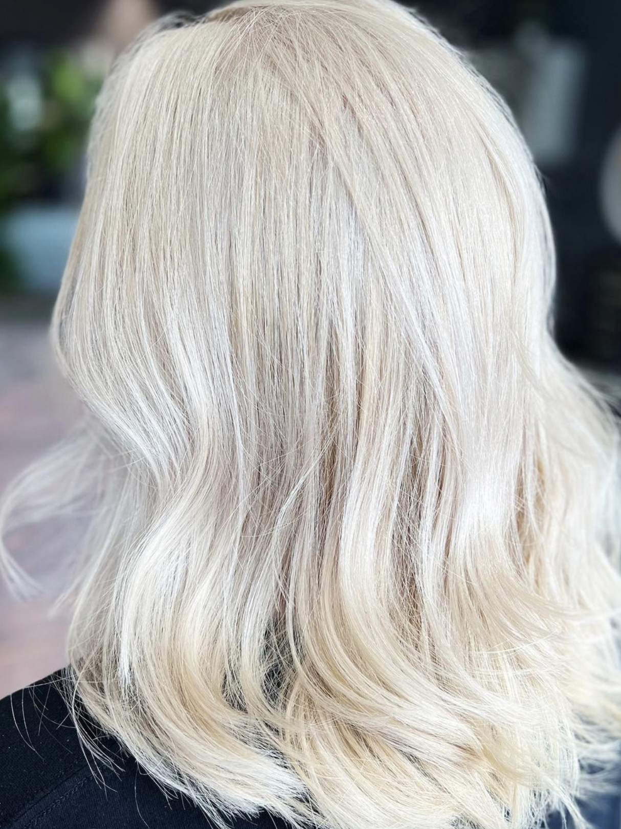 Platinum Canvas