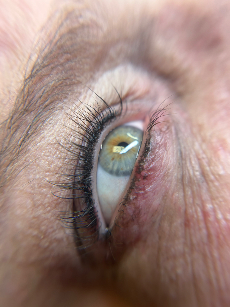Lash Enhancement - Yearly Touchup