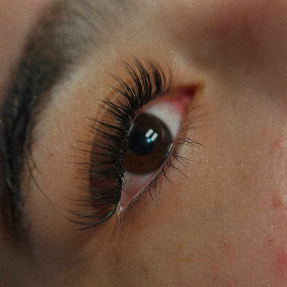 Hybrid Lash Extension Refill