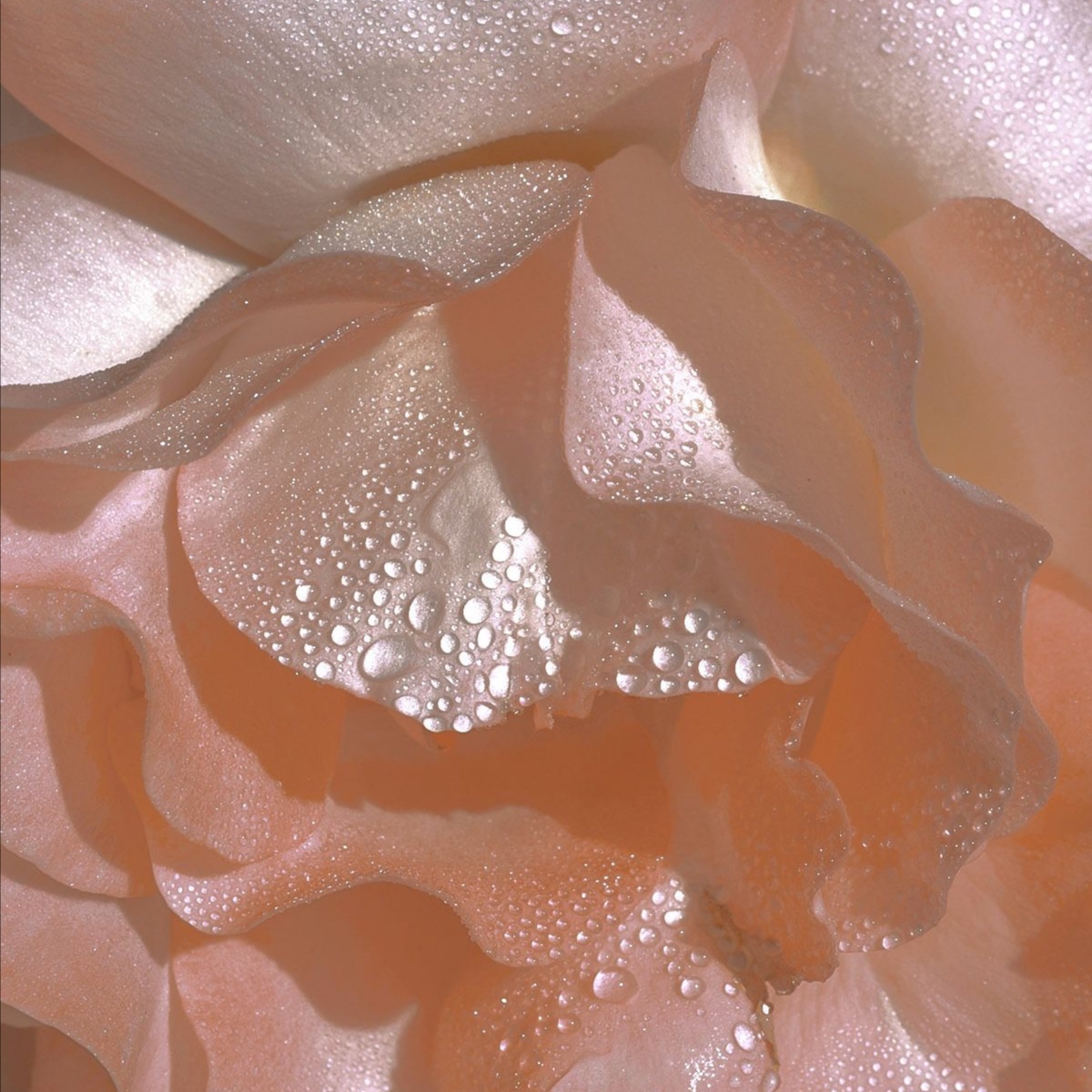 Dewy Facial at Bexuty by Kay in Folsom, CA