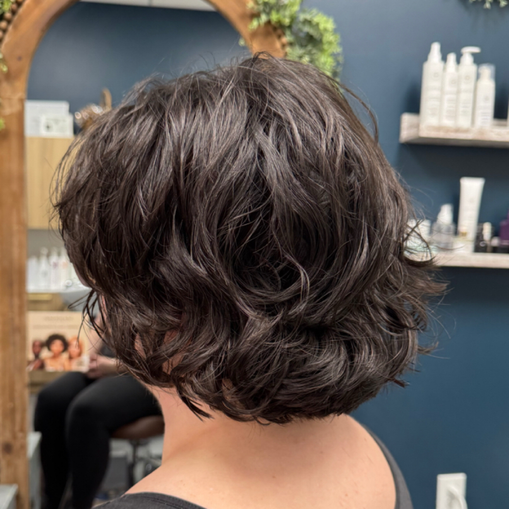 Roots Renewed at Jessica B. Hair & Healing in San Antonio, TX