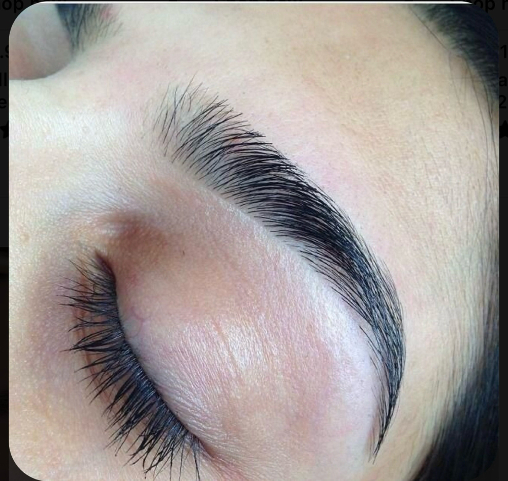 Eyebrow Shaping Only