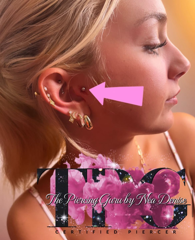 Tragus at ThePiercingGuru By Nea Denise in Trafford, PA