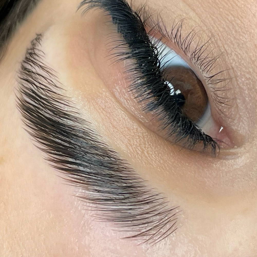 Brow Lamination