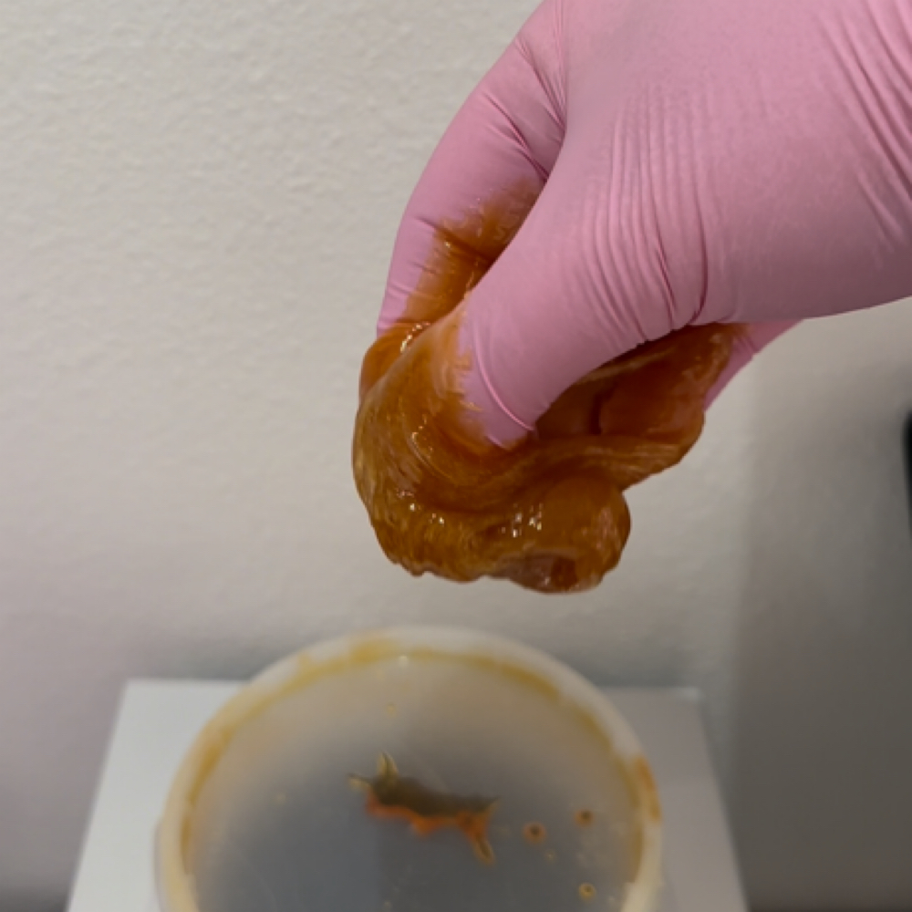 Half Leg Sugar (Upper OR Lower) at Beauty by Kaylian in Temple, TX