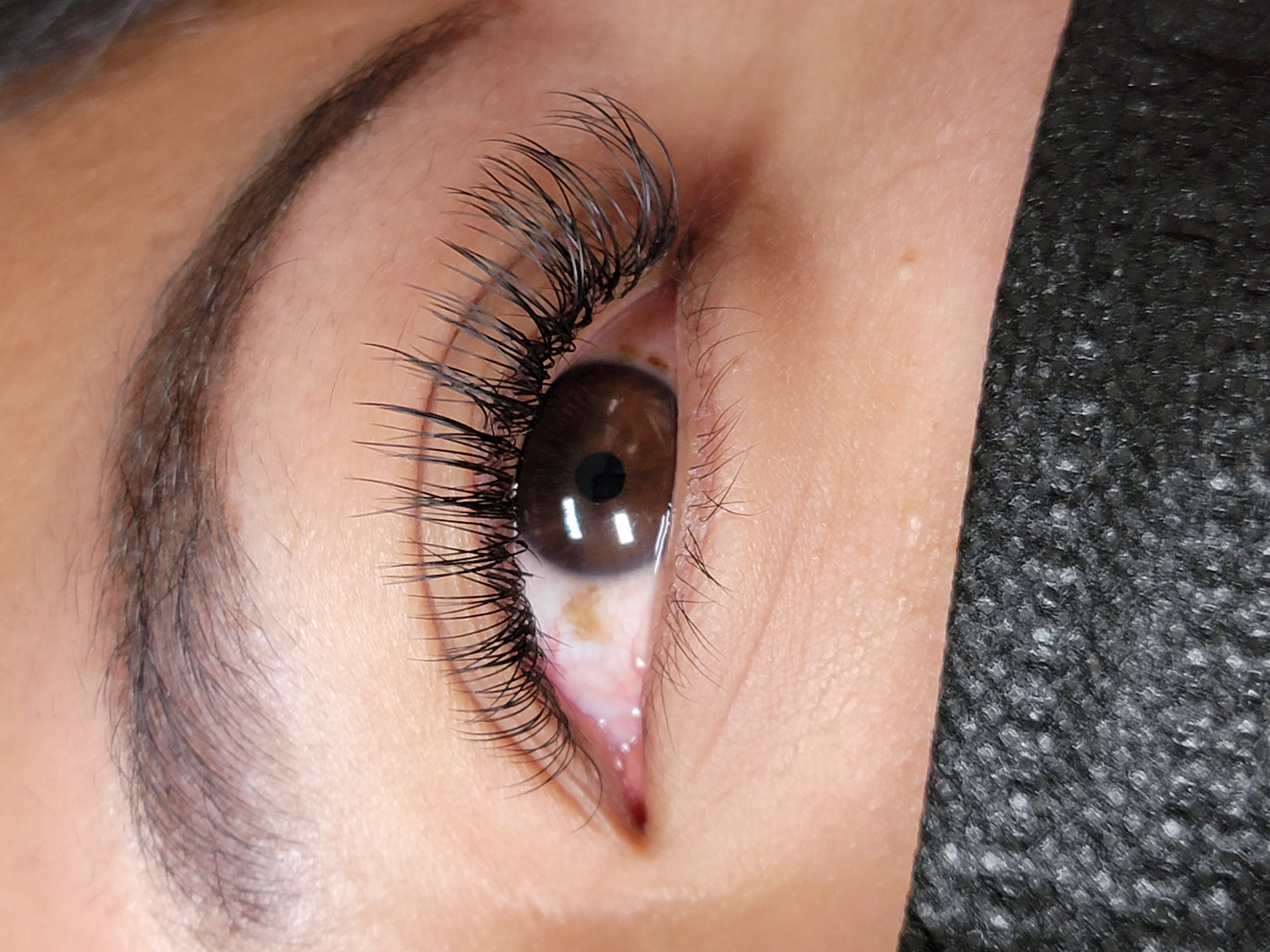 3 Week Classic Fill