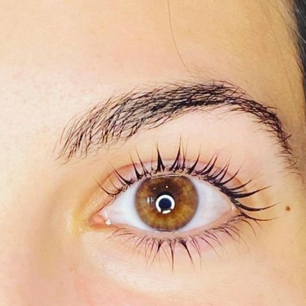 Lash Lift at Natural Lash and Brow Studio in New York, NY
