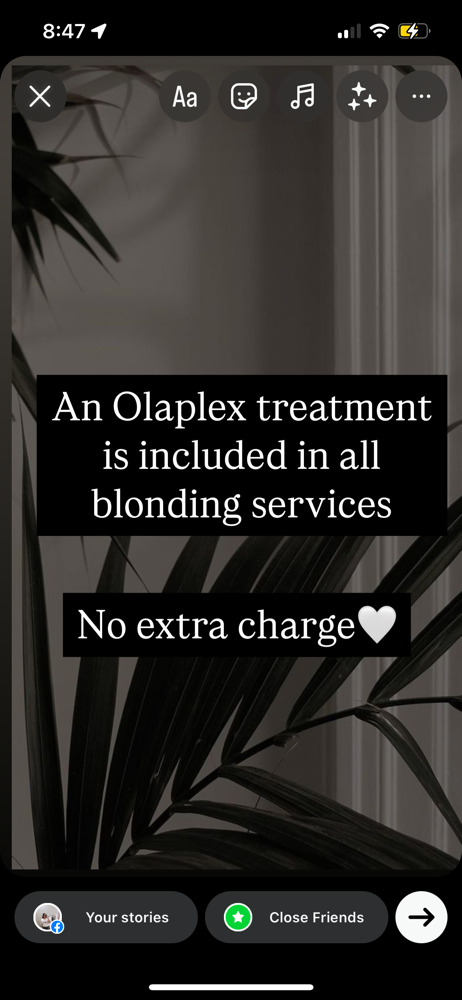 Olaplex Treatment