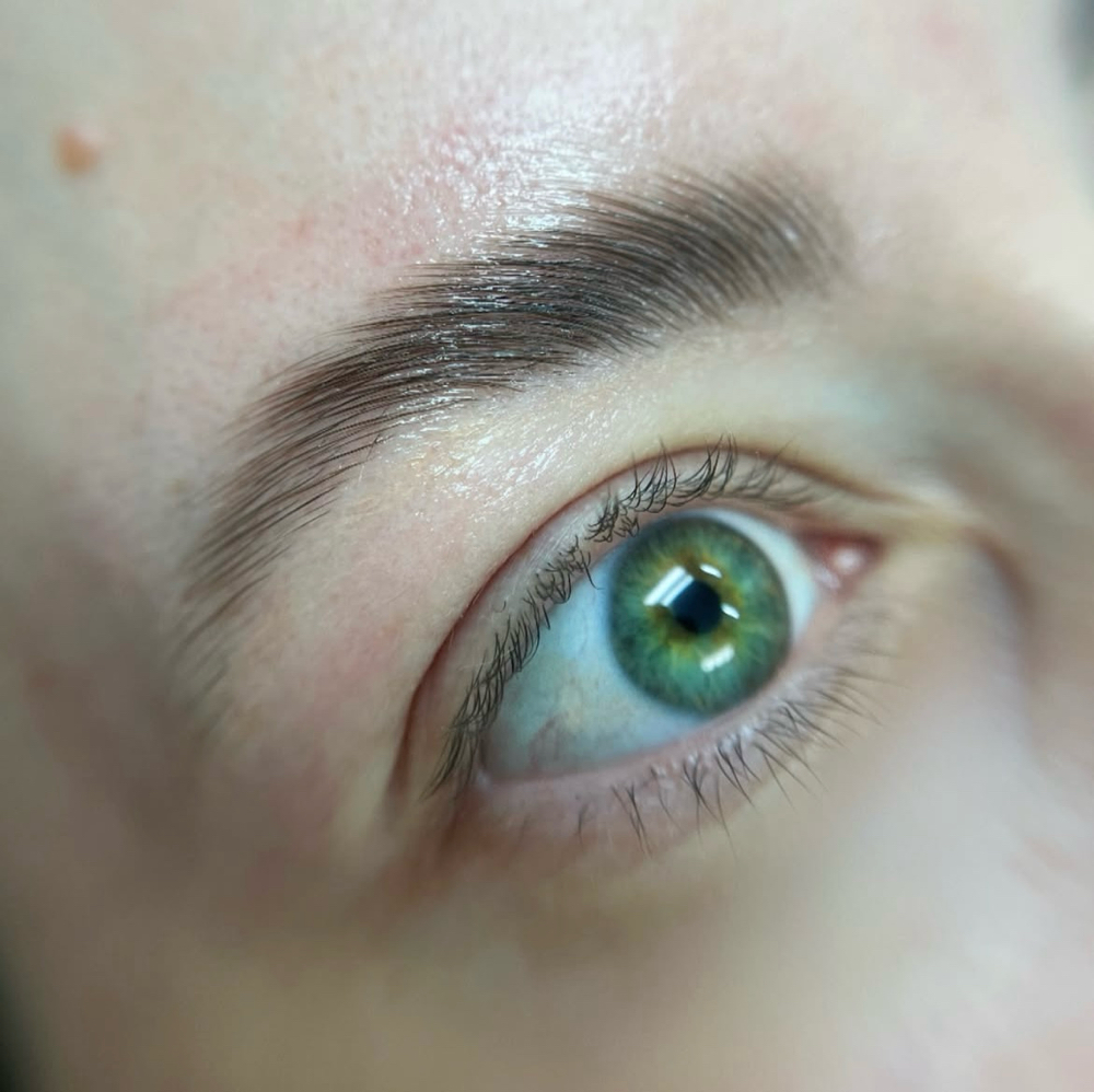 Brow Lamination at Beauté By Nessa in winter garden, FL