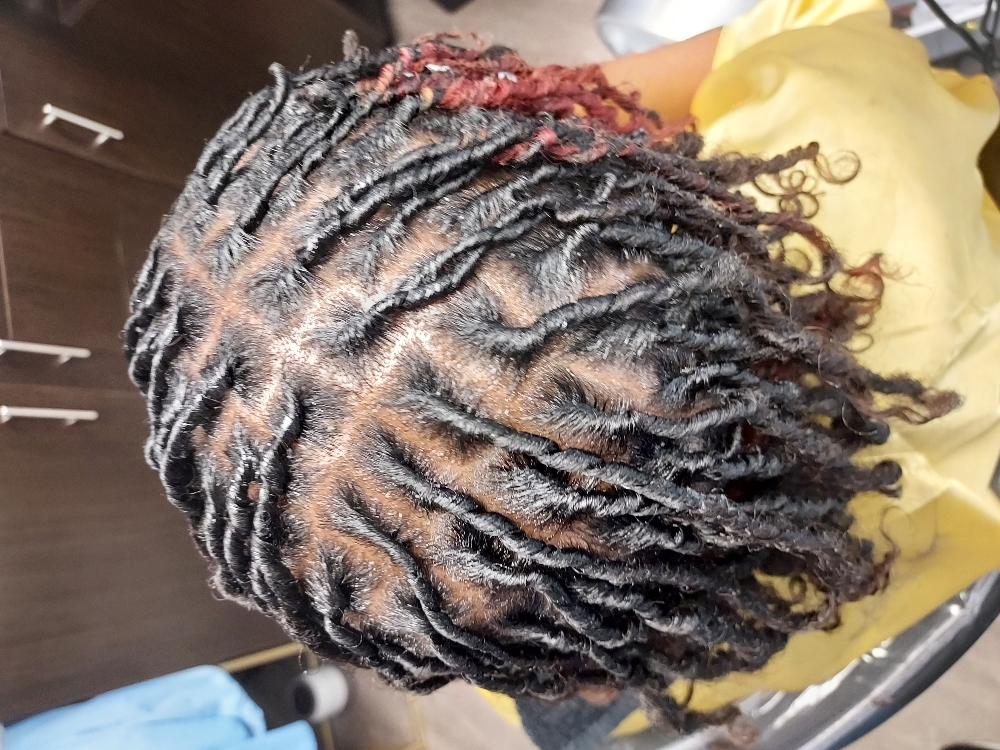 Ear To Chin Length Loc Maintenance