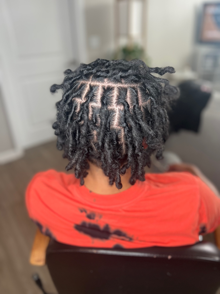 Adult Lrg Coil starter locs