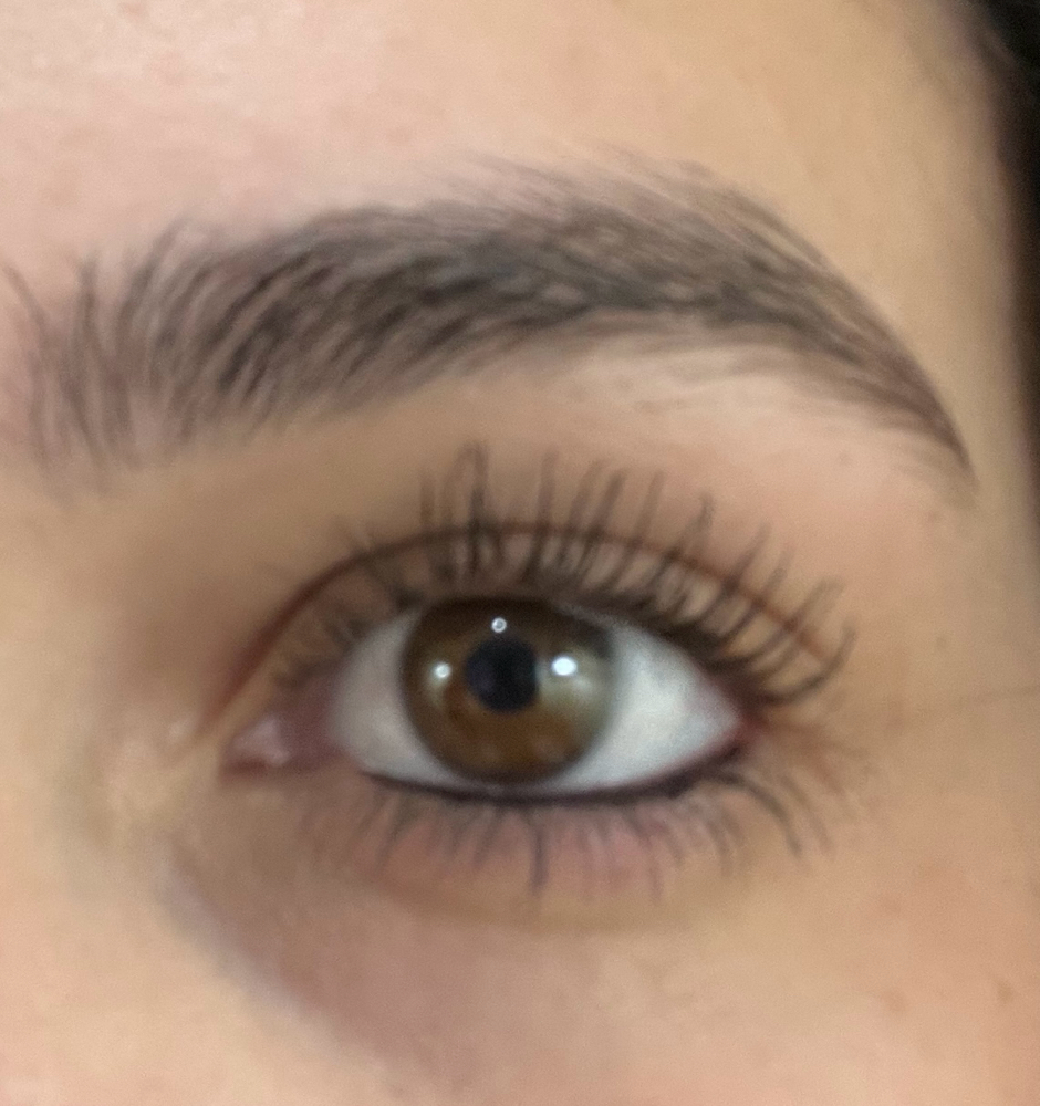 Lash Lift Only (No Tint)