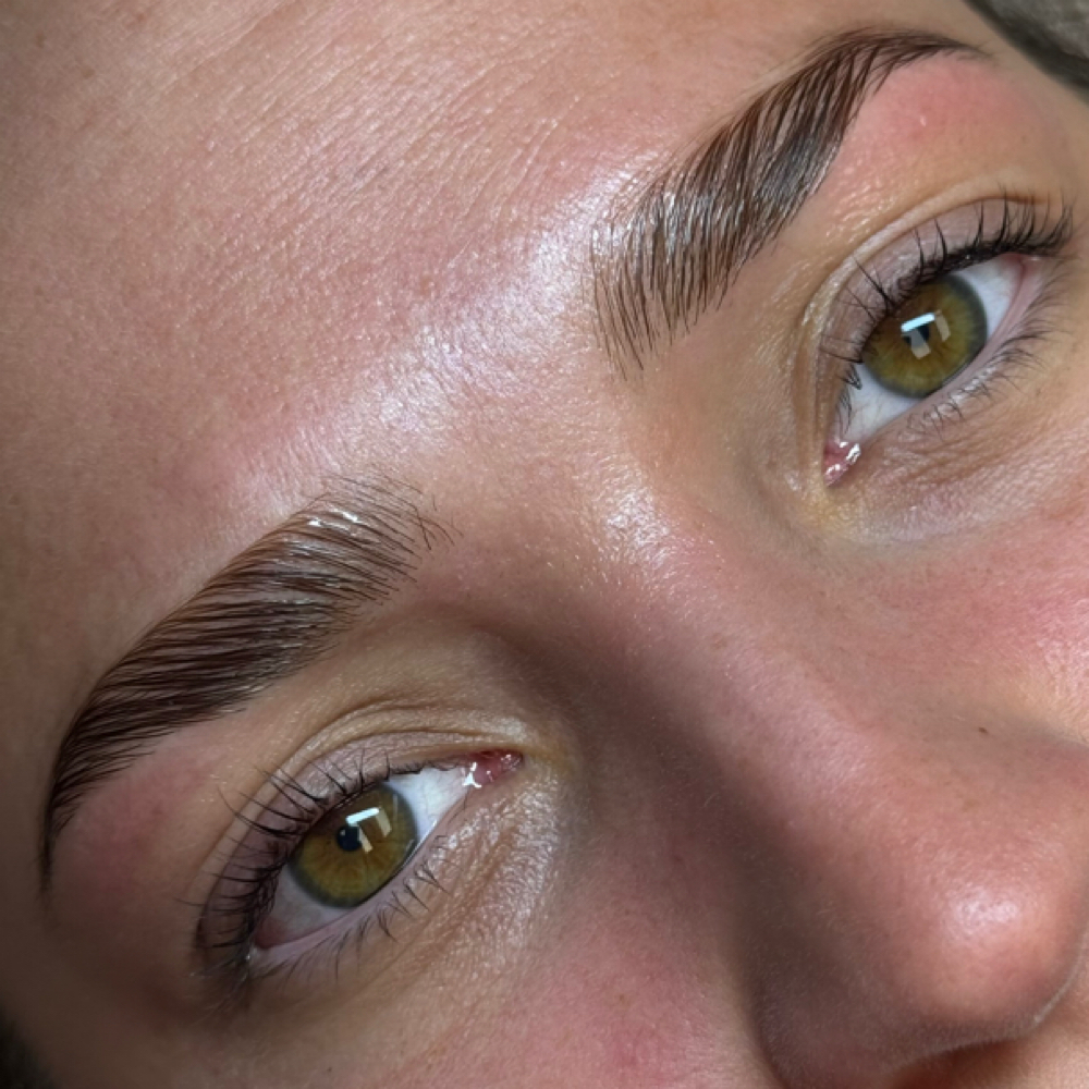 Signature Brow & Lash Combo at The Nail Hub in Uniontown, PA
