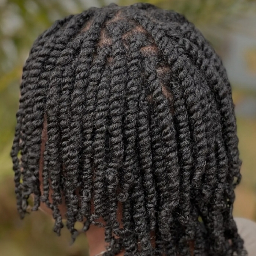 Two Strand Twist at Beauty Magicians Salon in Buford, GA