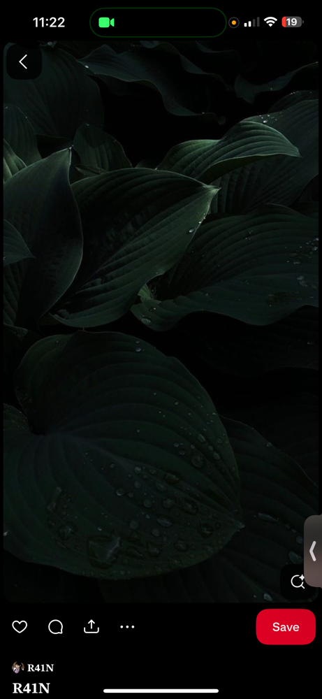 Wispy Wet Set Fill at Lashedbyliyahh in Kent, WA