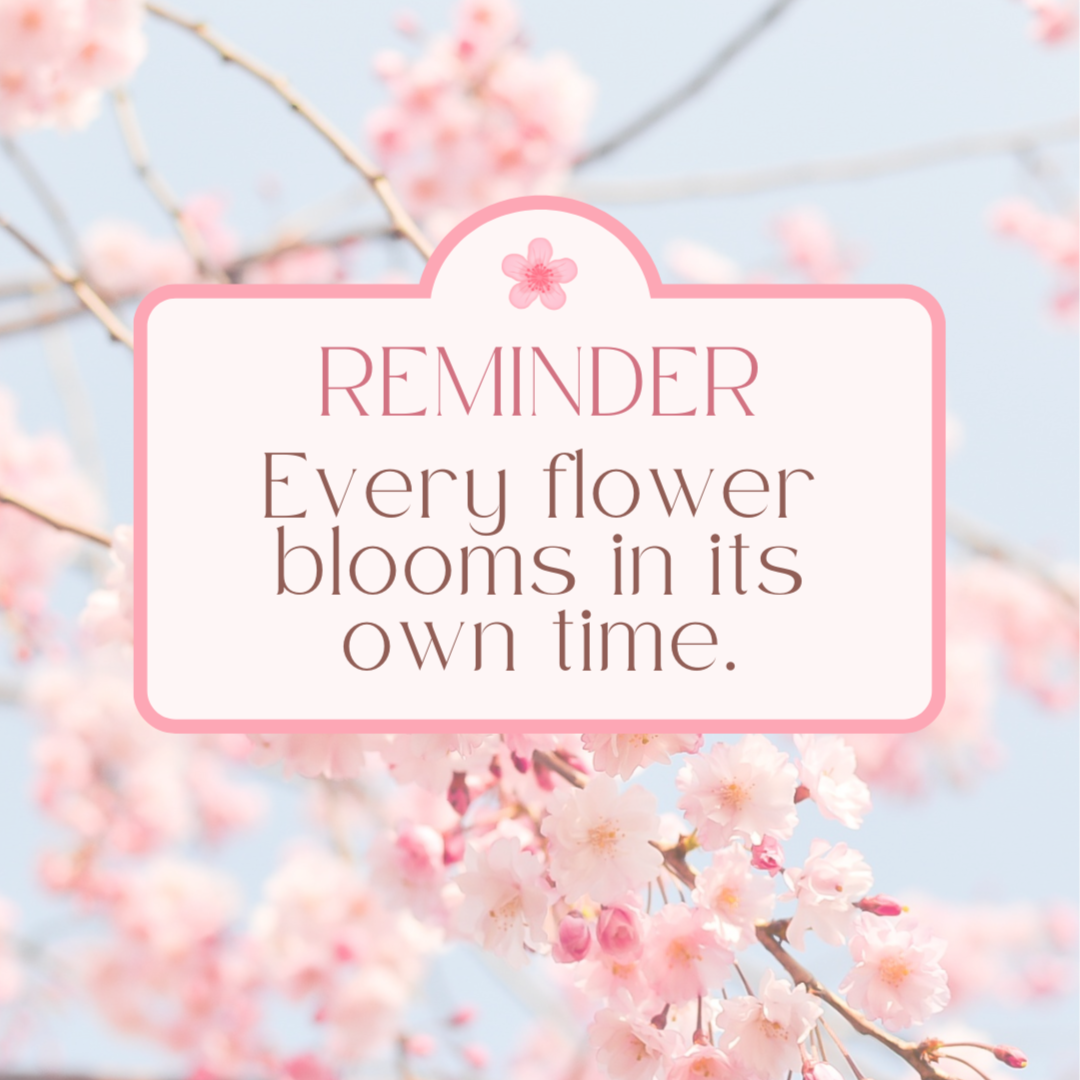 🌸 Cherry Blossom — Mani + Pedi at Utopia Nails, Hair, & Spa Salon in Newark, NJ