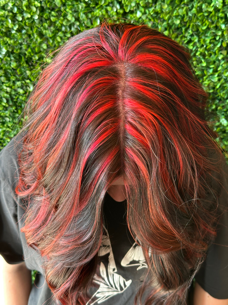 Highlights