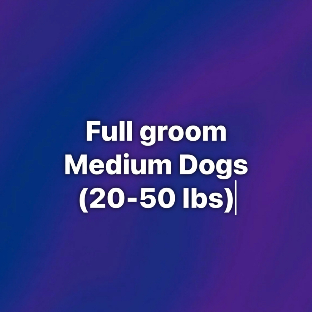 Full Groom-Medium (20-50 Ibs) at Polished Pup in Larose, LA