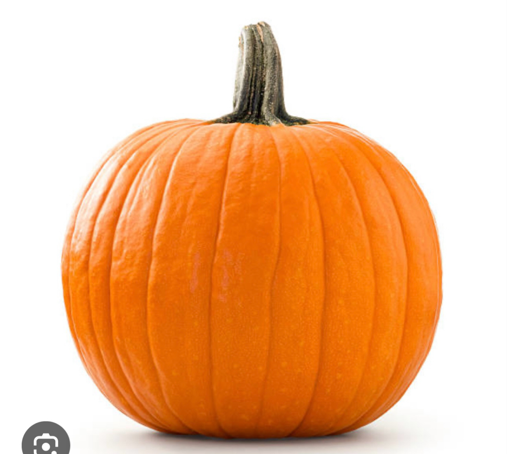 🍂Pumpkin Enzyme Promo 🎃