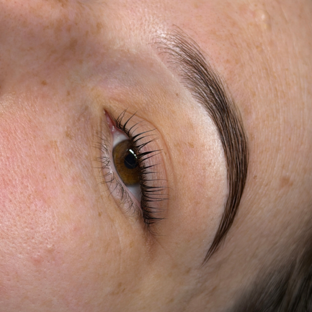 Brow Lami Matinence at Le Esthetics in Houston, TX