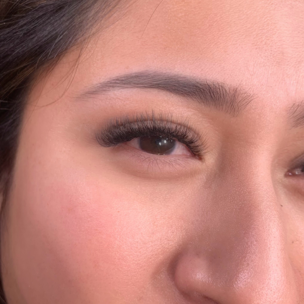 Hybrid Lashes