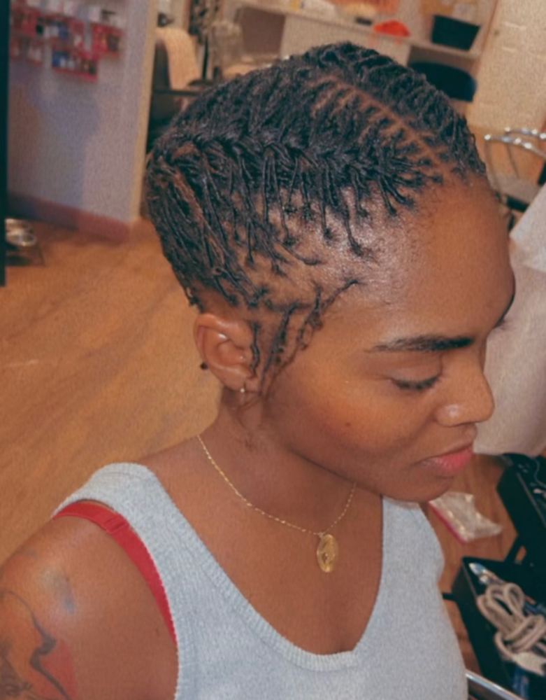 Starter Micro locs