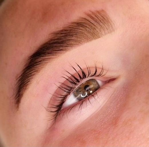 Lash + Brow Tint