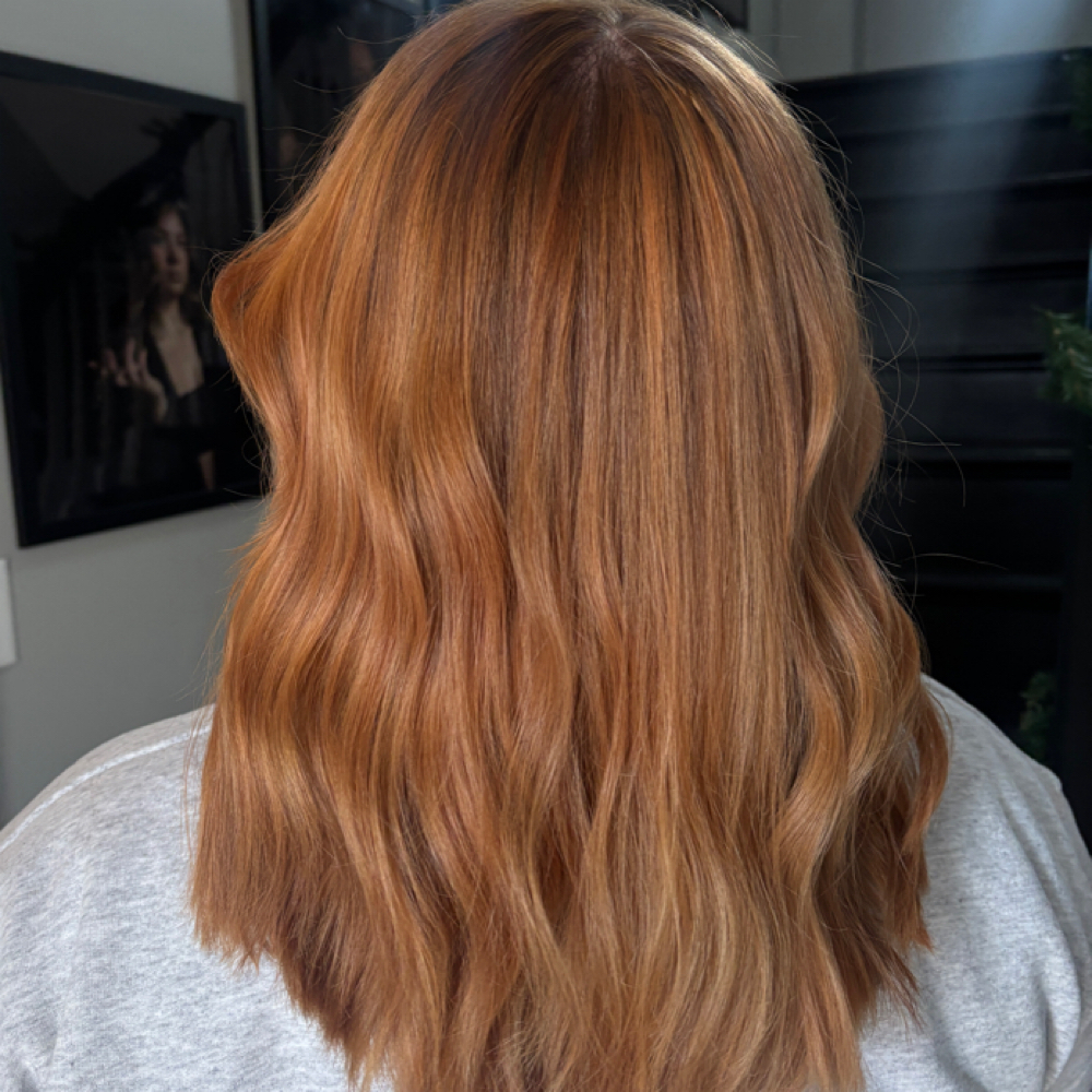 All Over Color at Gloss Salon and Spa in Louisville, KY