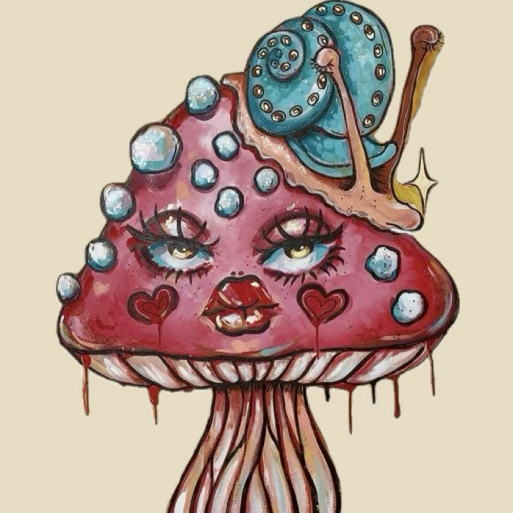 Anime 2 Week Fill at trippalash in Boulder, CO