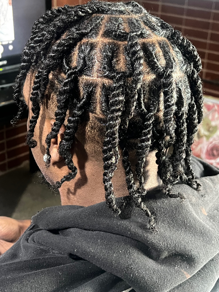 Two Strand Twist (natural) at BOOKwSNOOK in Roanoke, VA