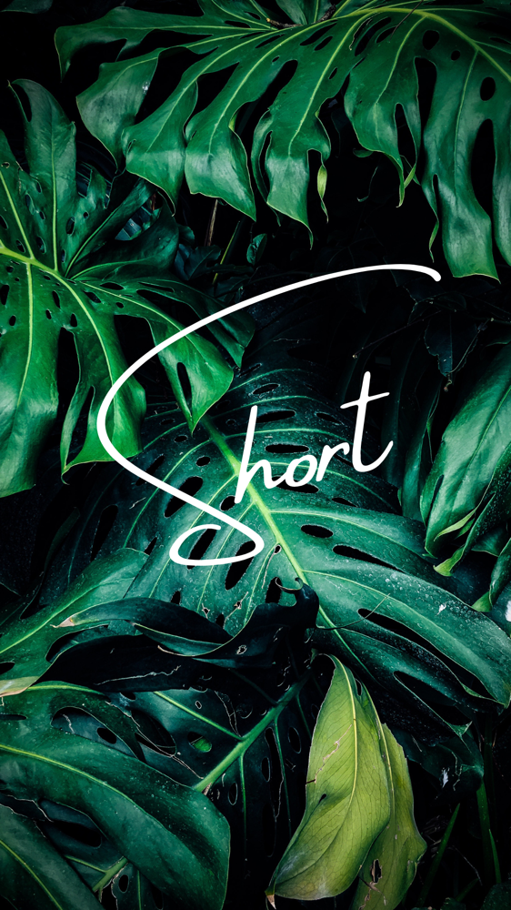 S | Short Sets: