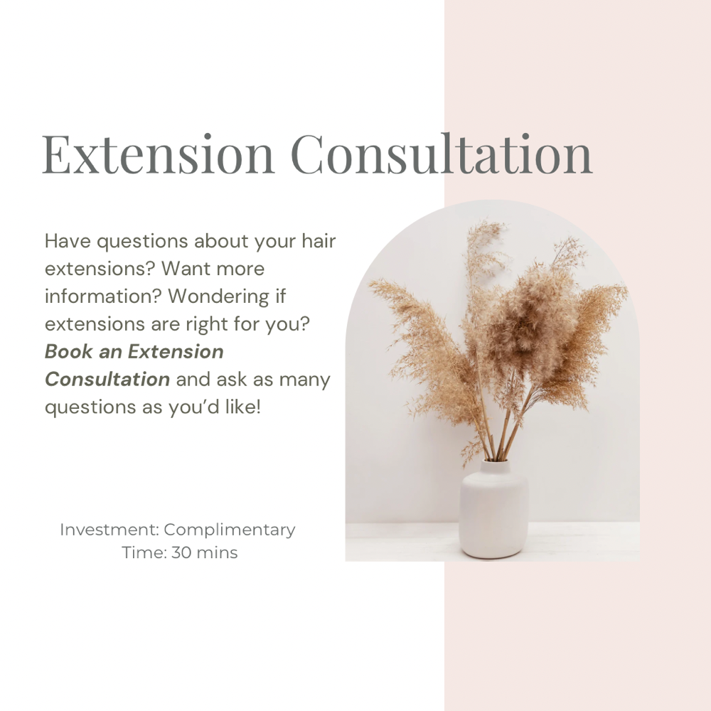 Extension Consultation
