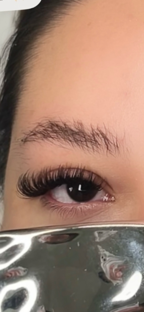 Brown Wet Set Fill
