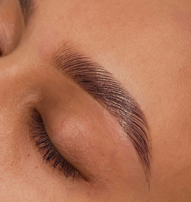 Brow Shaping, Wax and Hybrid Tint