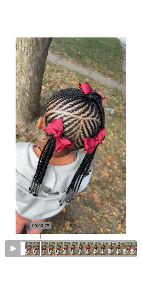 Snall Braids Braided Into 3
