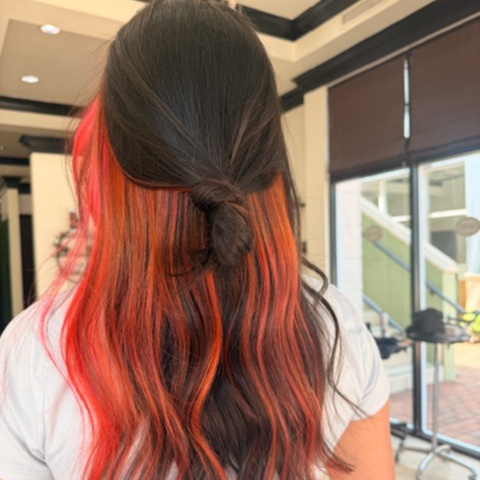 Vivid Hair at NicsBeautyTouch in Tampa, FL