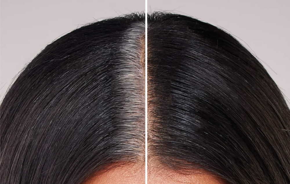 Root Touch Up
