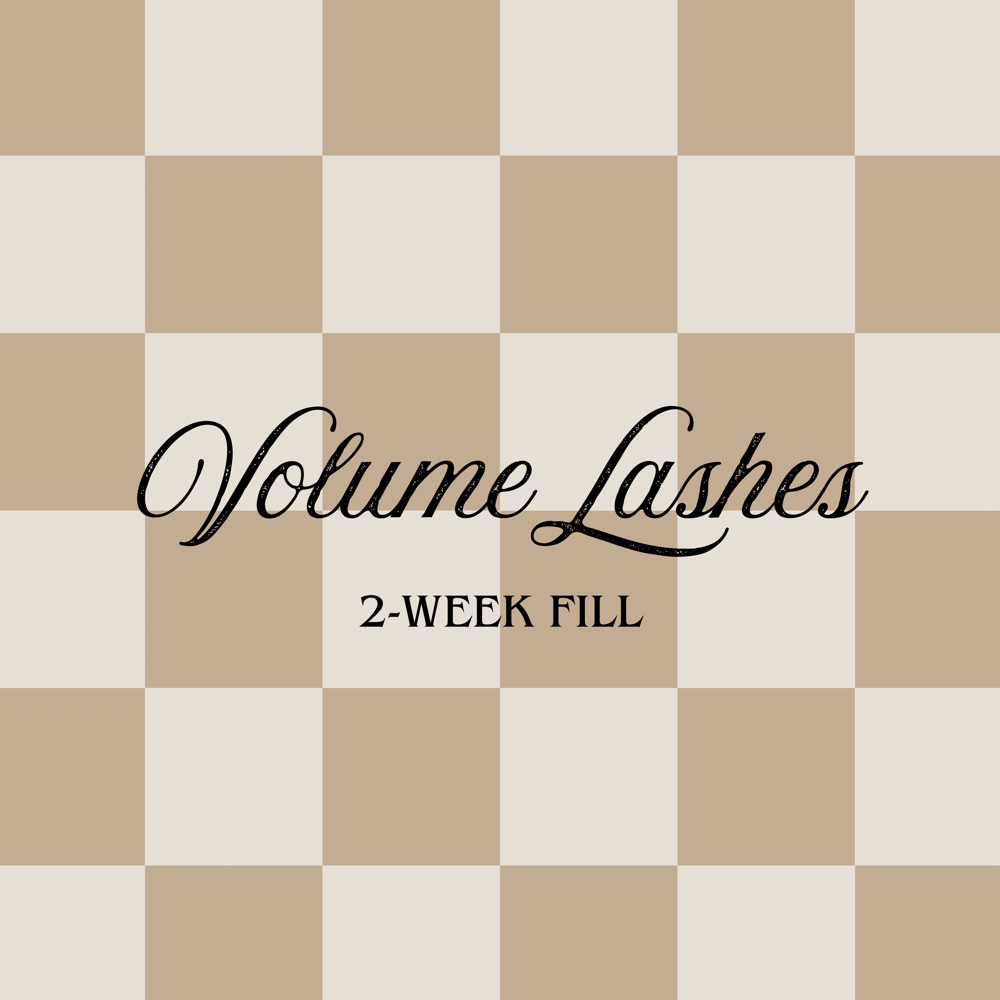 VOLUME LASH FILL (2 WEEK) at Desert Bloom Esthetics in Tulsa, OK