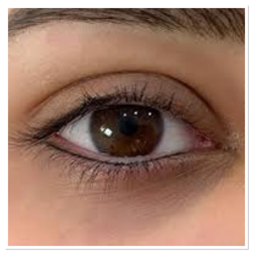 Bottom Lash Enhancement